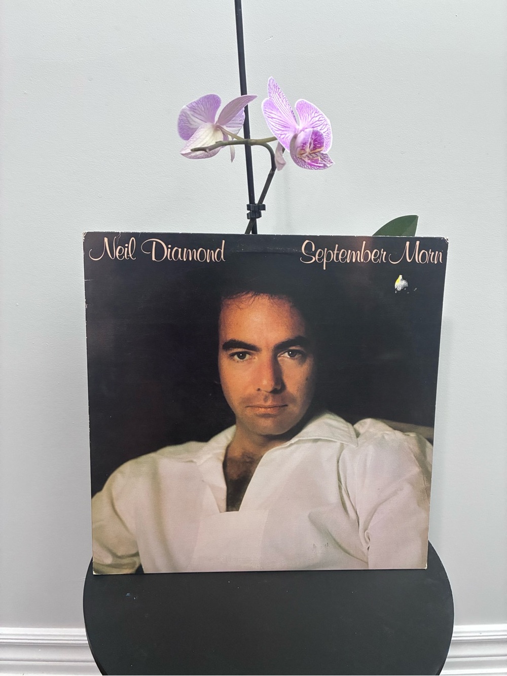 Neil Diamond "September Morn" Vinyl LP - White Cover Portrait
